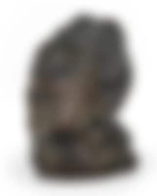 Self-portrait (preview)