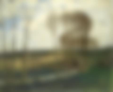 Paysage aux peupliers' (preview)