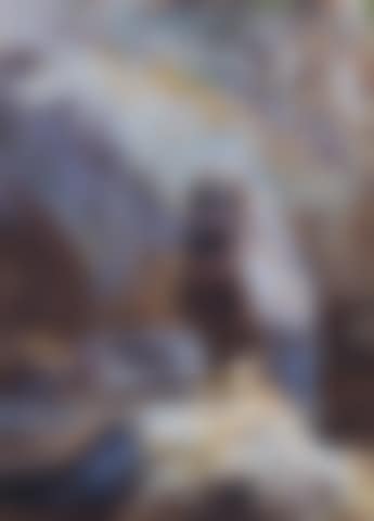 Golden eagle eyrie (preview)