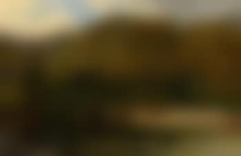 Highland Cattle (preview)