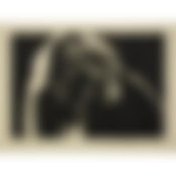 Selbstbildnis (preview)