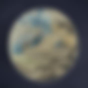 Swan (preview)
