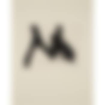 Calligraphic Study V (preview)