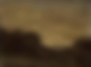 Sous bois au couchant (preview)