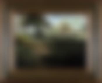 Louisiana Bayou with Live Oak Tree (preview)