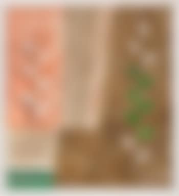 Senza titolo (preview)