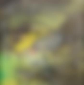 Composition (preview)
