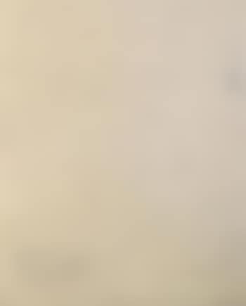 Three female nudes by a window (preview)