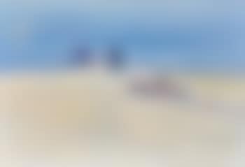 Fisherman, Coogee beach (preview)