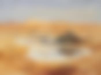 Landscape with waterhole and herons, near Alice springs (preview)