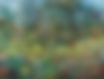 Neil Douglas' garden (preview)
