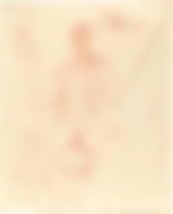 Studies for sculpture (preview)