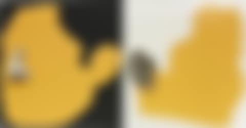 Noses & Ears, Etc.: The Gemini Series: Two Profiles, One with Nose (B&W); One with Ear (B&W) (preview)