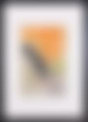 Composition (preview)