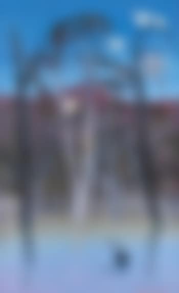 Morning, Shoalhaven (preview)