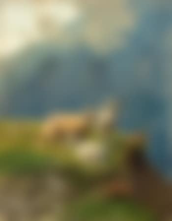 Schafe auf einer Hochalm (preview)