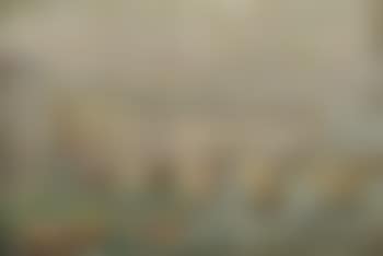 Seine och Pont Neuf, Paris , (preview)