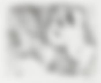 Untitled, Series 156:046 ,
1971 (preview)