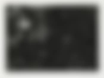 Personnages nus ,
1966 (preview)