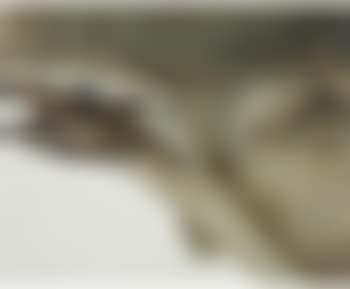 Landscape (Antarctica) ,
1964 (preview)