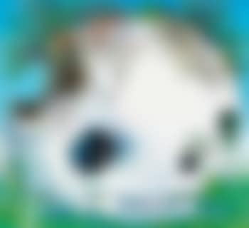 The Fountain of the Skull (preview)
