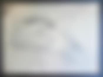 Nu informel sexe à droite (preview)