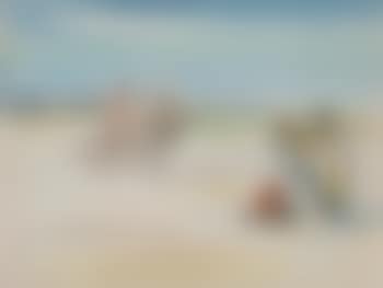 Gardians en Camargue ,
1956 (preview)