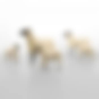 Nouveaux Moutons (preview)