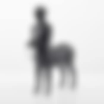 Centaure Attele (Petit) (preview)