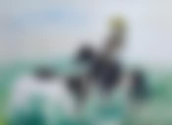 Verts pâturages (preview)