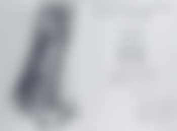 La chouette (preview)