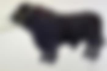 Standing prize-bull (preview)