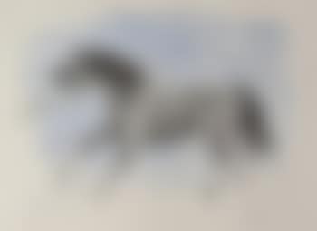 Standing pony with halter (preview)