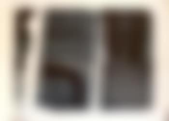 L-15 ,
1974 (preview)