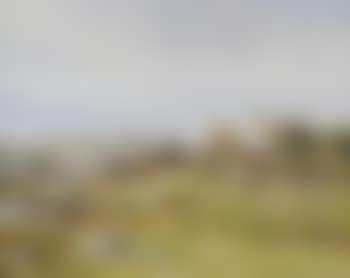 At Ballyconneely, County Galway , (preview)