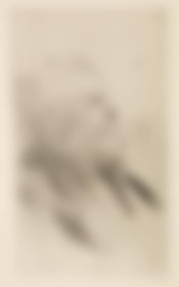 Charles Maurin , (preview)