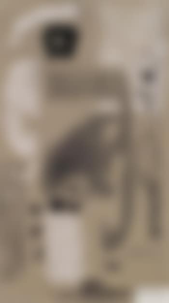 Ohne Titel (preview)