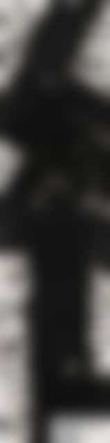 Totem (preview)