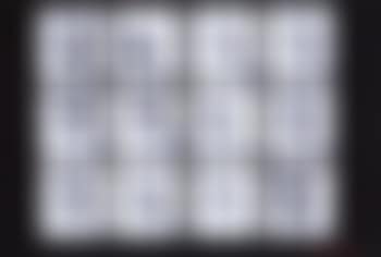 Marilyn Monroe Behind a White Veil, Contact Sheet from The Last Sitting (preview)