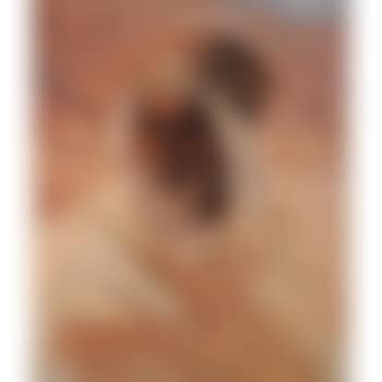 Portrait d'oriental (preview)