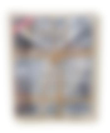 Wrapped Chicago Magazines (preview)