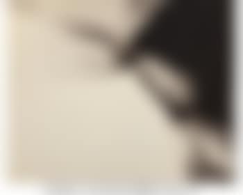 Phenomena Alternate Horizontal (preview)