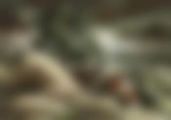 Dunes in Equihen (preview)