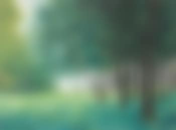 Le sous-bois - The Understory (preview)