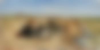 Beach scene in Normandy (preview)