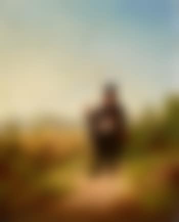 Interrupted contemplation (preview)