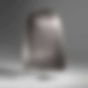 Untitled (Willow) (preview)