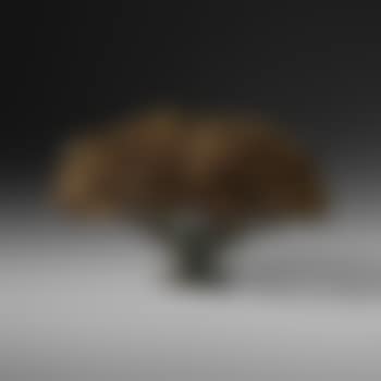 Untitled (Bush Form) (preview)