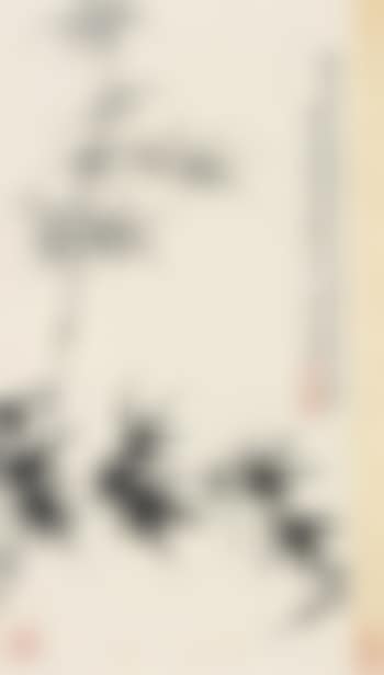 Bamboo (preview)