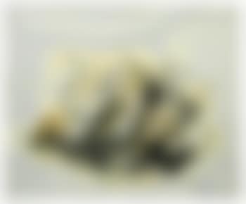 Peinture (preview)